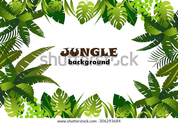ジャングル 背景 ベクターイラスト のベクター画像素材 ロイヤリティフリー