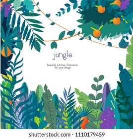 jungle banner, flat style, vector illustration, frame, palm leaves ,oranges , bananas, pineapples, vines, frame