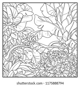Jungle with big bush in the foreground black contour line drawing for coloring on a white background