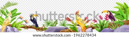 Jungle bird border, exotic tropical frame, toucan, parrot, stone, liana, banana leaves, paradise flowers, fern. Wildlife nature environment summer background. Hawaii jungle border, rainforest bushes