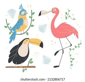 Jungle bird flamingo toucan parrot graphic design element isolated set illustration