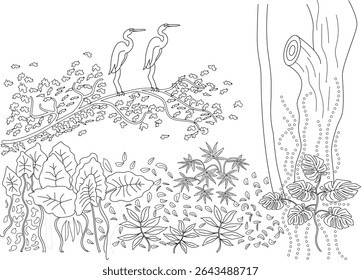 Jungle Birds Perched Line Art, Black and white line drawing illustration depicting two herons or egrets perched on a tree branch in a lush jungle or forest scene. The artwork features various