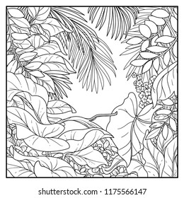 Jungle black contour line drawing for coloring on a white background