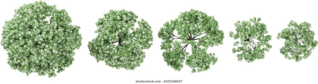 Jungle Blackboard plants shapes cutout 3d render from the top view