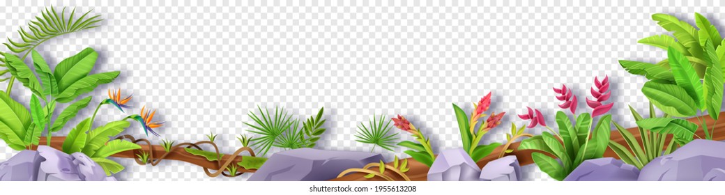 Enfoque floral de hoja vectorial de la jungla, fondo de planta tropical, liana, piedra, plátano, flores exóticas. Ilustración de la naturaleza de la selva tropical del paraíso de verano, vid. Entorno de juego borde de la jungla, follaje