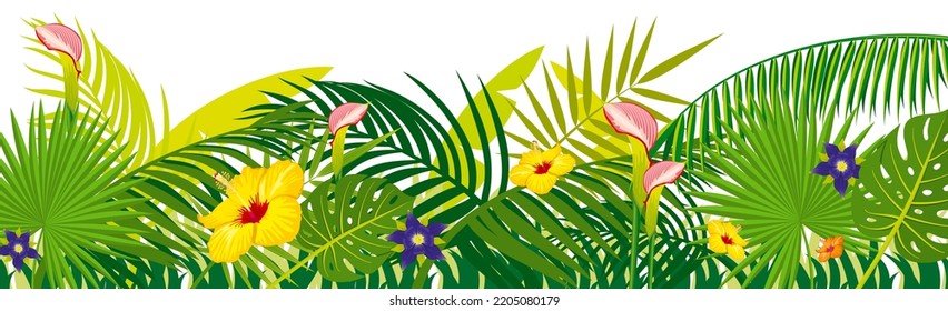 Jungle botanical bottom border. Green natural plants