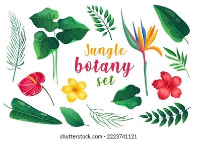 Jungle botany in cartoon style set isolated elements. Vector illustration