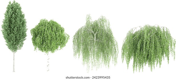 Jungle Carpinus betulus Frans Fontaine,Betula pendula Youngii trees shapes cutout 3d render