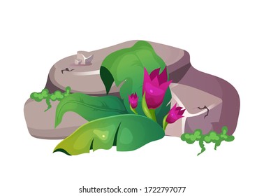 Jungle cartoon vector illustration. Mountain part with foliage. Ground with leaves and flourish. Rock with flower flat color object. Subtropical nature isolated on white background