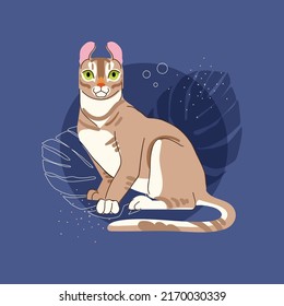 Jungle curl cat on blue background. Domestic animal character vector flat illustration