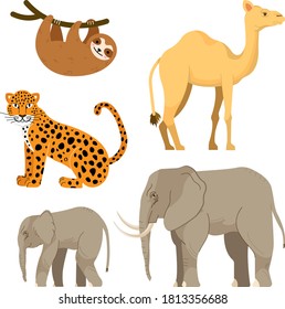 jungle and desert animals set