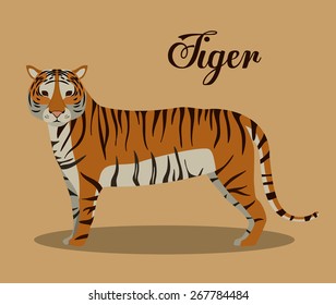 Jungle design over orange background, vector illustration
