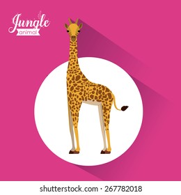 Jungle design over pink background, vector illustration