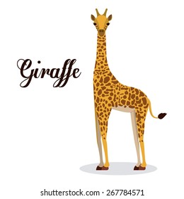 Jungle design over white background, vector illustration
