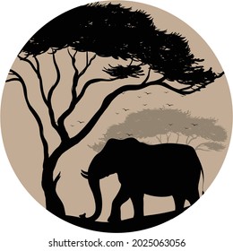 jungle elephant modern vector design