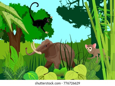 Jungle elephant, monkey on tree top, tarsier, jungle background, wildlife theme, vector.