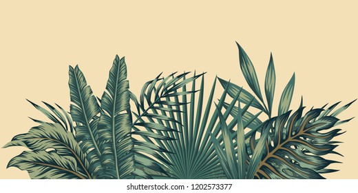 Jungle exotic composition tropical leaves pattern vintage green invitation holiday banners with palm