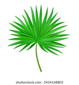 Jungle exotic leaf. tropical leaves. Illustration for summer tropical paradise advertising design vacation.Tropic plants. Vector illustration