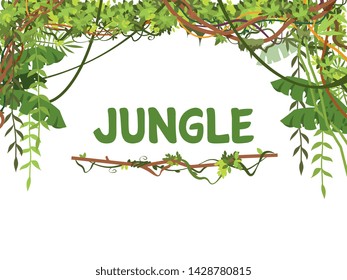 Jungle exotic leaves and lianes vector background. Tropical nature tree forest, jungle plant summer with place for text illustration