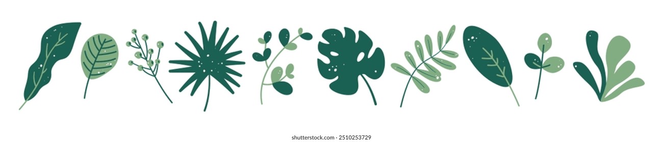 Jungle exotic plants. Tropical leaves. Floral elements. Monstera, palm. Flat vector illustration isolated on a white background