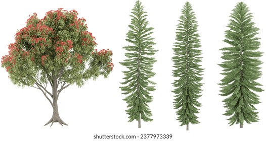 Jungle Fir,eucalyptus ficifolia shapes cutout 3d render set