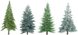 Jungle Fir,Spruce,Pine Trees Shapes Cutout 3d Render Set