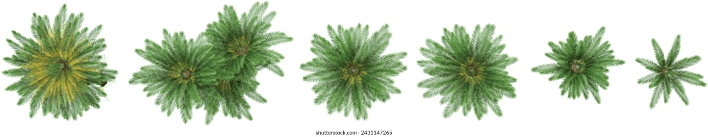 Jungle Fishbone waterfern trees shapes cutout 3d render from the top view