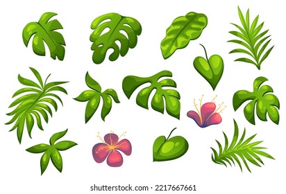 Jungle flora leaf palm tropic abstract design element concept illustration set
