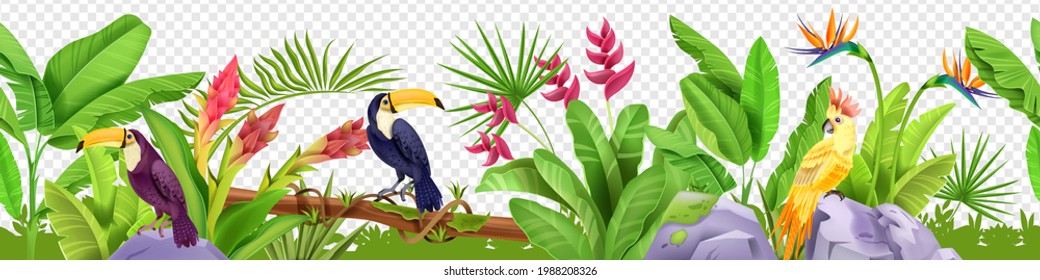 Jungle floral seamless border, vector tropical exotic nature background, toucan, parrot, paradise flower. Rainforest garden frame, stone, green banana leaf, log. Hawaii jungle border, foliage, birds