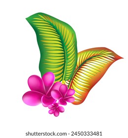 jungle flower,leaves  tropic set. isolated elements. Palm leaf, monstera, pink plumeria flower,hibiscus blossom, exotic tropical summer flowers and leaves.