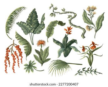 Jungle flowers and leaves isolated. Vector