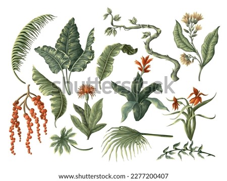 Jungle flowers and leaves isolated. Vector