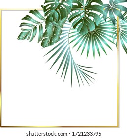Jungle foliage design for postcard, label, web design or post in social networks. Paradise nature element. Botanical vector illustration isolated on white background.