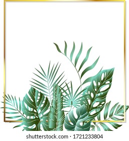 Jungle foliage design for postcard, label, web design or post in social networks. Paradise nature element. Botanical vector illustration isolated on white background.