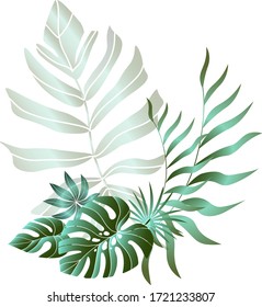 Jungle-Blattdesign für Postkarten, Etiketten, Web-Design oder Post in sozialen Netzwerken. Paradies Naturelement. Botanische Vektorgrafik einzeln auf weißem Hintergrund.