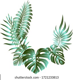 Jungle foliage design for postcard, label, web design or post in social networks. Paradise nature element. Botanical vector illustration isolated on white background.
