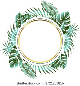 Jungle foliage design for postcard, label, web design or post in social networks. Paradise nature element. Botanical vector illustration isolated on white background.