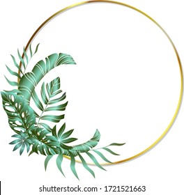 Jungle foliage design for postcard, label, web design or post in social networks. Paradise nature element. Botanical vector illustration isolated on white background.