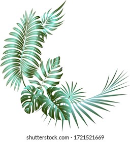 Jungle foliage design for postcard, label, web design or post in social networks. Paradise nature element. Botanical vector illustration isolated on white background.