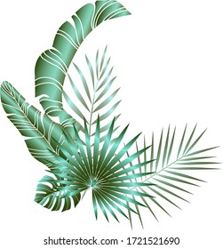 Jungle foliage design for postcard, label, web design or post in social networks. Paradise nature element. Botanical vector illustration isolated on white background.