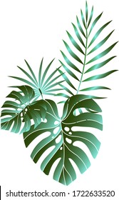 Jungle foliage design for postcard, label, web design or post in social networks. Paradise nature element. Botanical vector illustration isolated on white background.