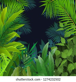 Jungle forest background, vector illustration