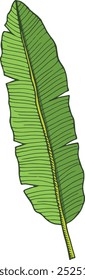Jungle forest foliage element. Tropical tree leaf