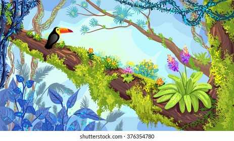 Jungle forest. Illustration of toucan sitting on the tree. Vector hand-drawn rainforest, tropical background