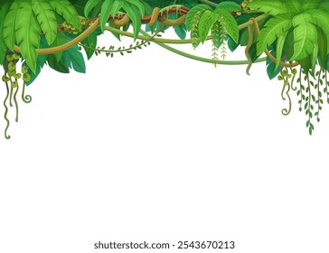 Jungle forest liana branches and tropical ivy vine frame, vector blank background. Tropical rainforest monstera leaf plant or jungle liana and bindweed tree with climbing tendrils in border frame