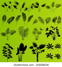Jungle forest palm and plant vector background set