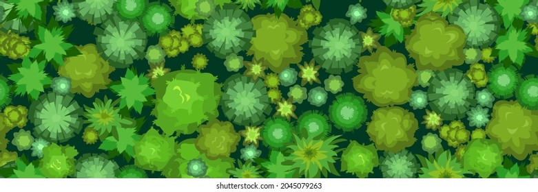 Jungle forest top viewfrom above. Horizontal seamless composition. Overgrown rainforest. Cartoon style flat design. Illustration vector.