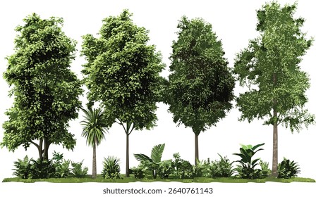 Jungle forest trees vector set, rainforest shapes, tropical foliage, nature illustrations, eco friendly plants, wildlife design, lush greenery, tropical landscape