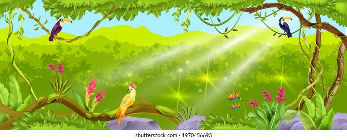 Jungle forest vector background, nature tropical wood landscape, liana, paradise trees, exotic birds, stone. Summer Amazon environment illustration, palm silhouette. Green thicket jungle background