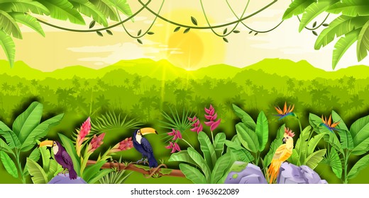 Jungle Forest Vector Landscape, Exotic Tropical Background, Green Banana Leaves, Toucan, Parrot, Sun, Palm. Summer Paradise Amazon Wood Panorama, Flowers, Stone, Liana. Jungle Landscape, Nature Banner